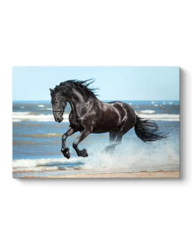 Πίνακας σε καμβά Black Horse Megapap ψηφιακής εκτύπωσης 100x70x3εκ.